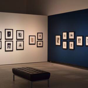 Art Gallery of Burlington