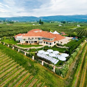 The Vibrant Vine Winery