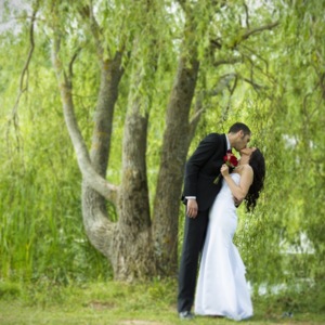 Robert Neil Smith Photography