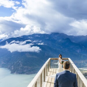 Pear Tree Photography