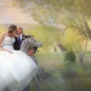 Peter Toth Photography