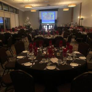 Str84ward Entertainment Ltd