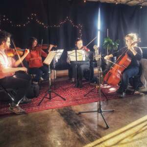Harbour Strings