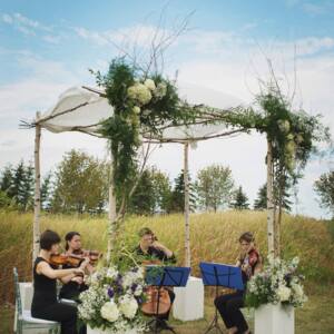 Cadenza Strings
