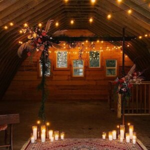 Morgan and Vine Events