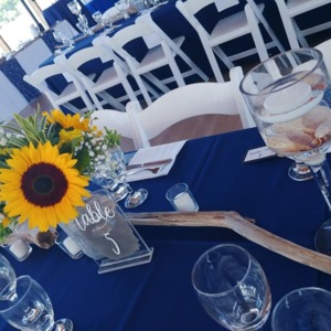 Straight Up Bar Services