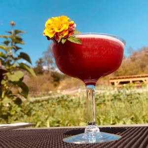 Bar Travelling Man cocktails