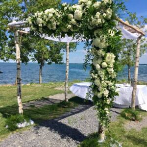 Eleganza Lighting and Decor