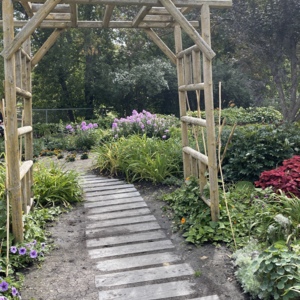 Forever After and Beyond