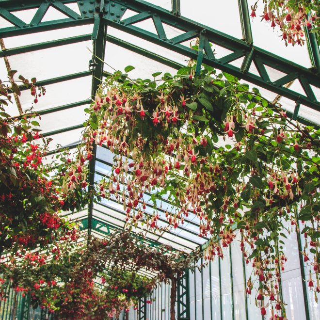 Spectacular Spring Wedding Colors at This Stunning Tulum- Inspired  Greenhouse - Green Wedding Shoes