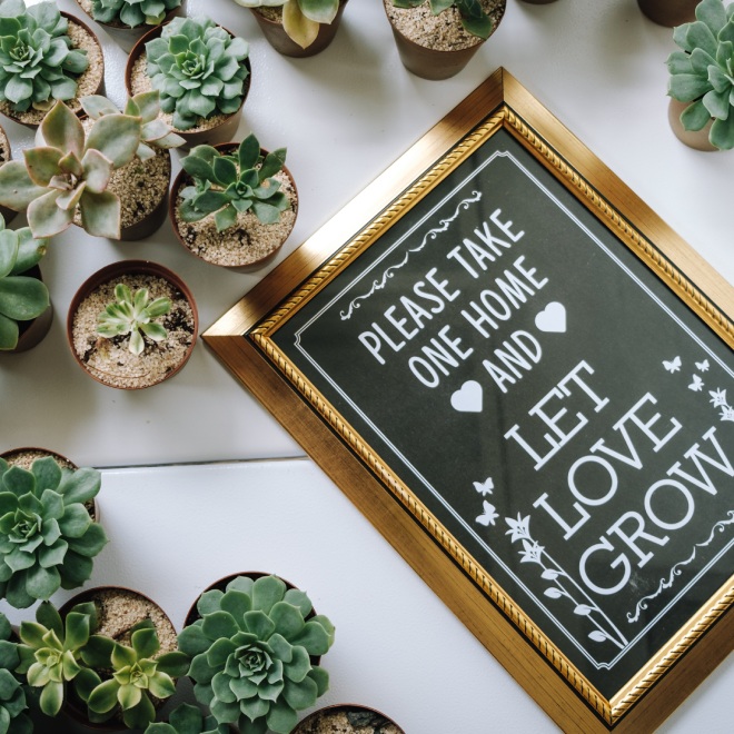 greenhouse wedding favours