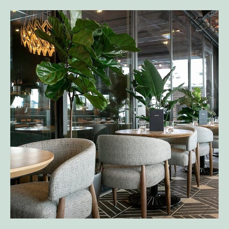 The Loft at Earls Yaletown