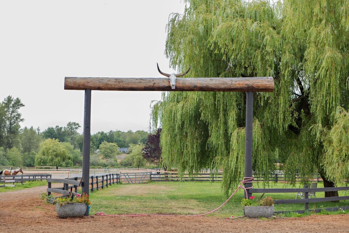 Willow Lake Farm and Stables