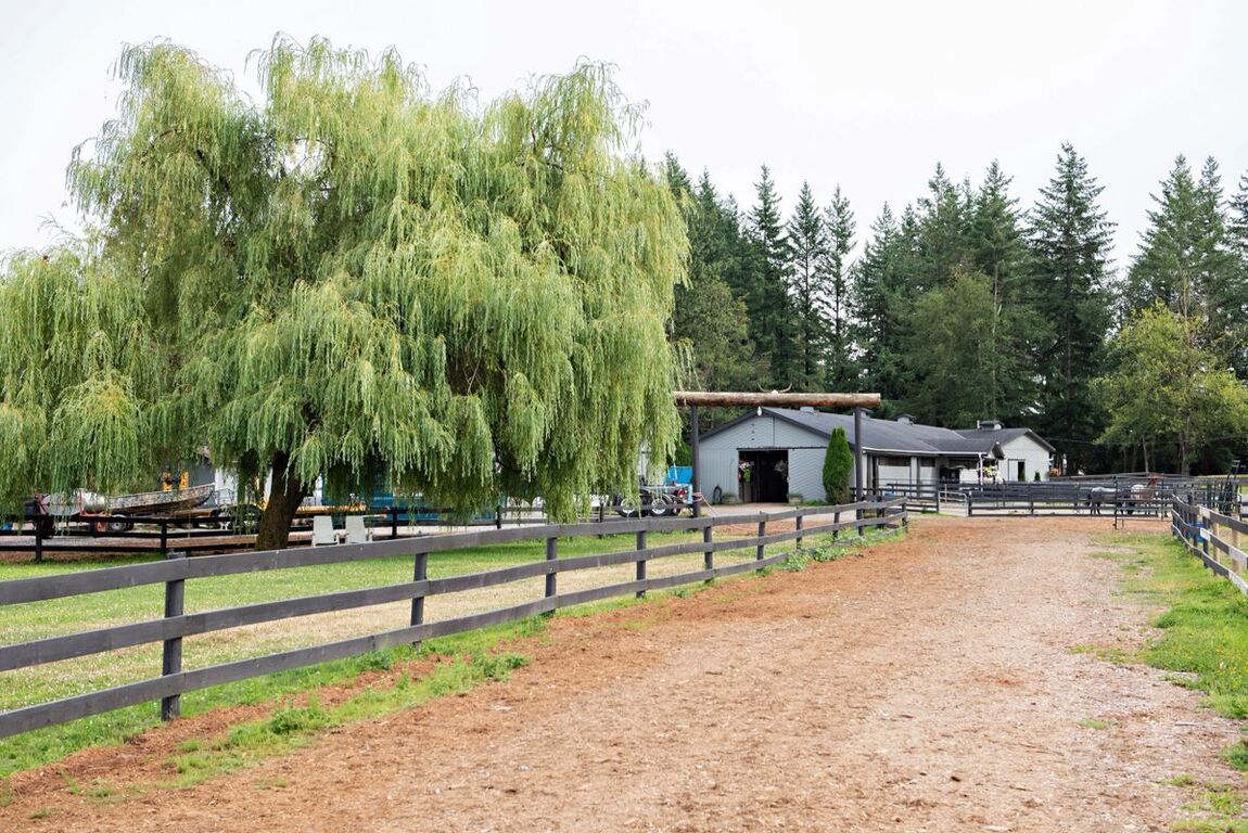 Willow Lake Farm and Stables