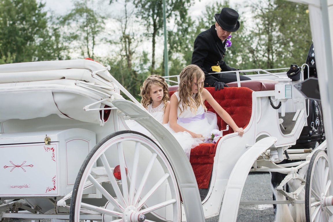 Loft Country Weddings and Carriages