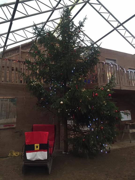 Conestogo River Horse Back Adventures