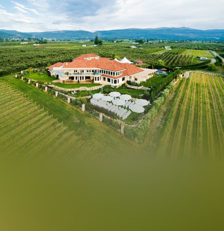 The Vibrant Vine Winery