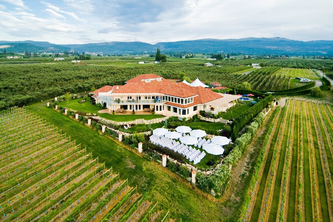 The Vibrant Vine Winery
