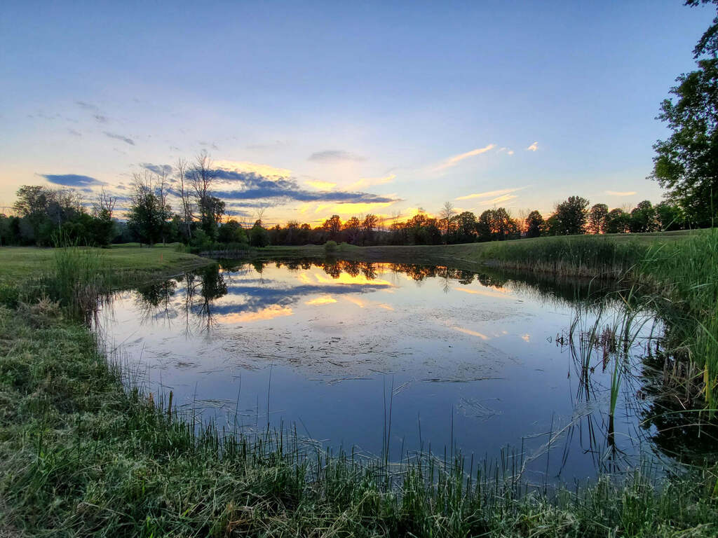Manderley on the Green