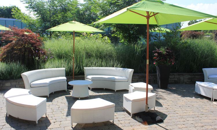 Toronto Botanical Garden