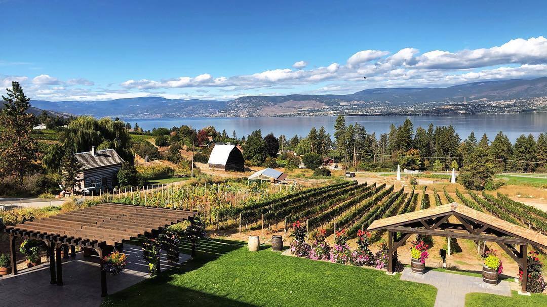 Summerhill Pyramid Winery Wedding Venues Kelowna