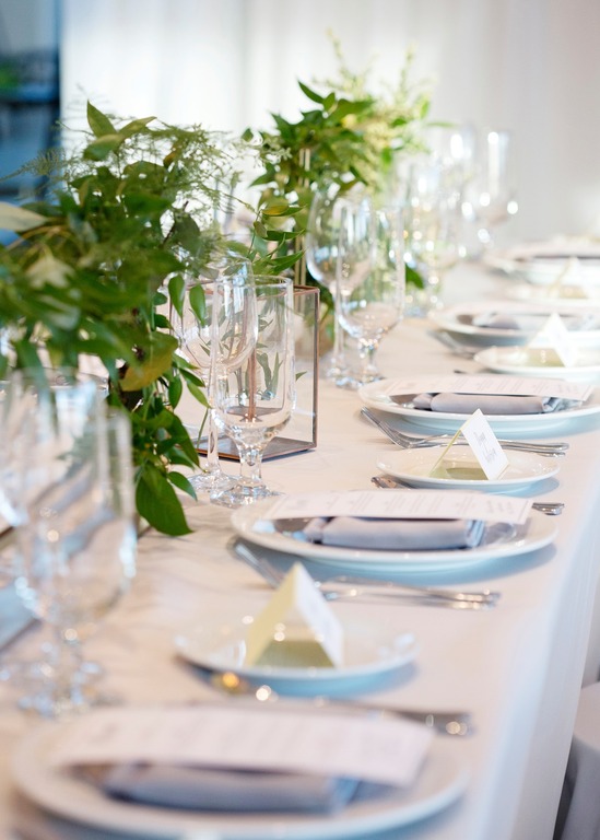 Cambridge Butterfly Conservatory