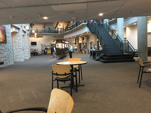 Shadbolt Centre for the Arts