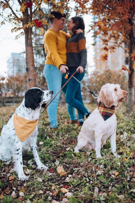 Accentuated Moments Photography