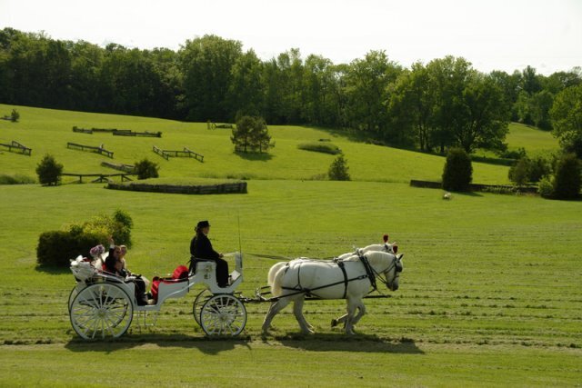 Waterstone Estate and Farms