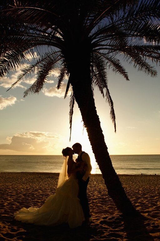 Viewpoint Photography