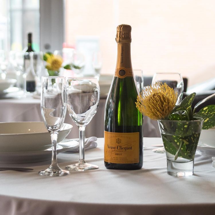 Blue Cactus Bar and Grill