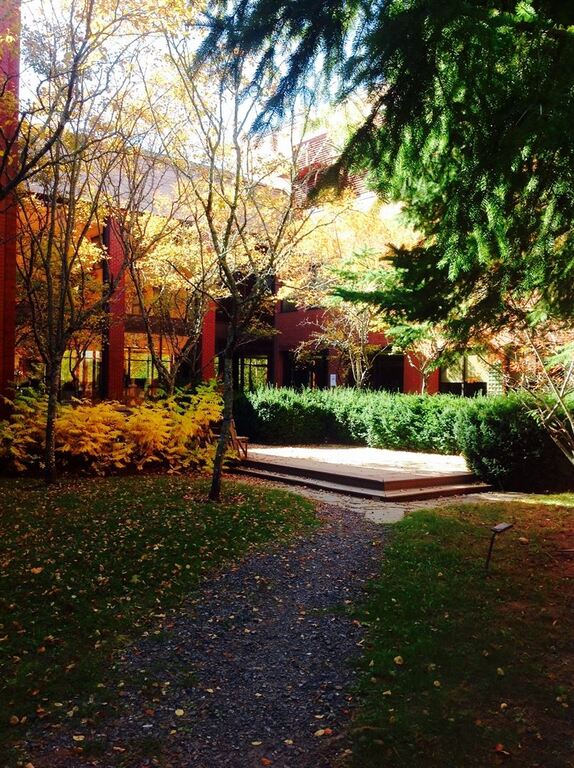 Hugh John Flemming Forestry Centre