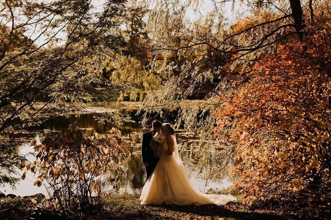 Ashley Cecilia Photography