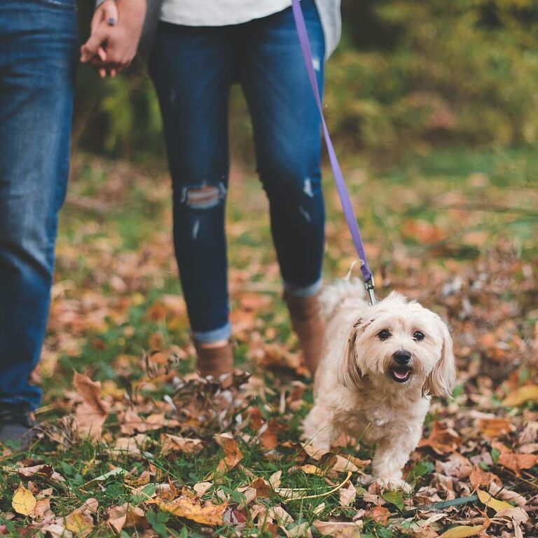 Ben Lariviere Photography