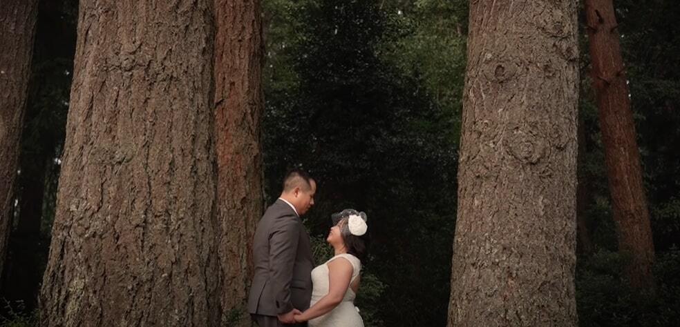 Dynamic Weddings Videography