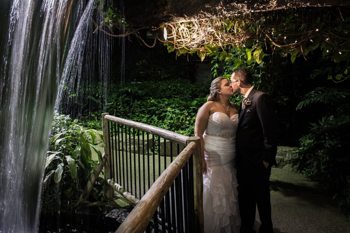 Colour Collective Photography