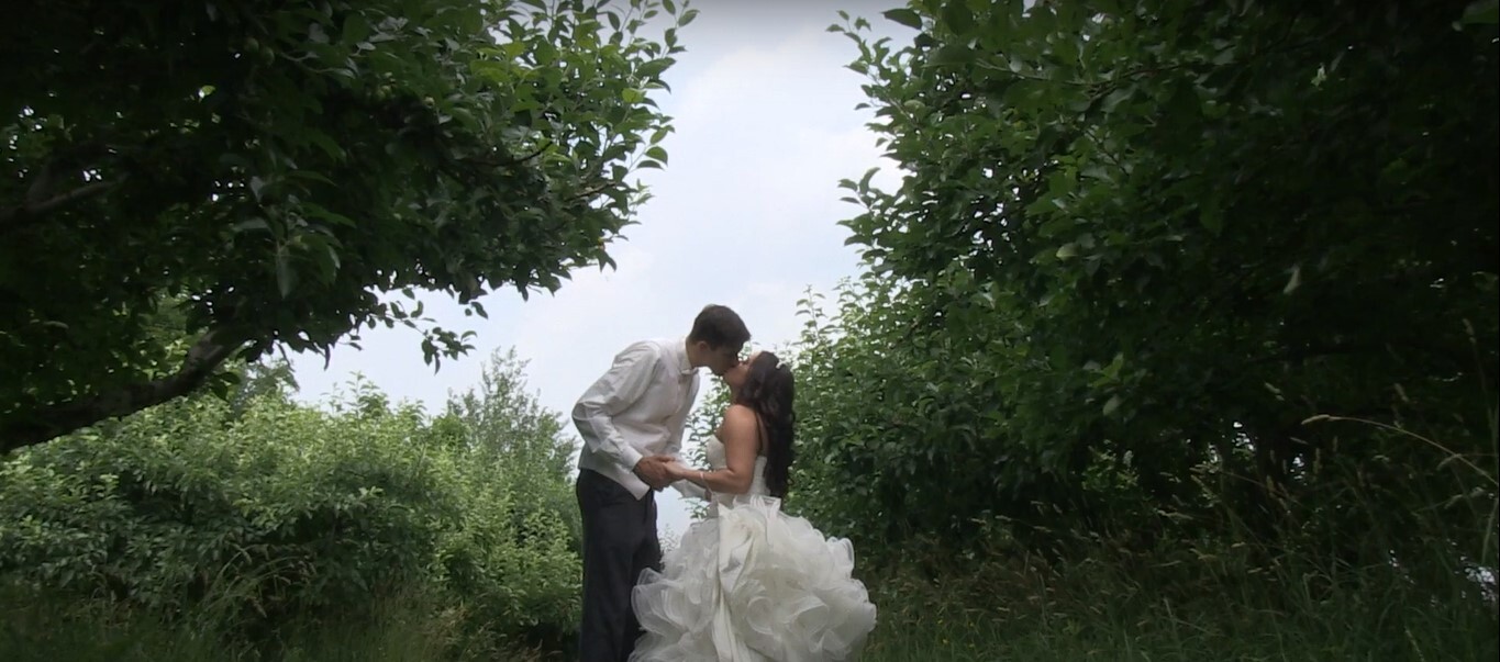 Phantom Imaging Videography