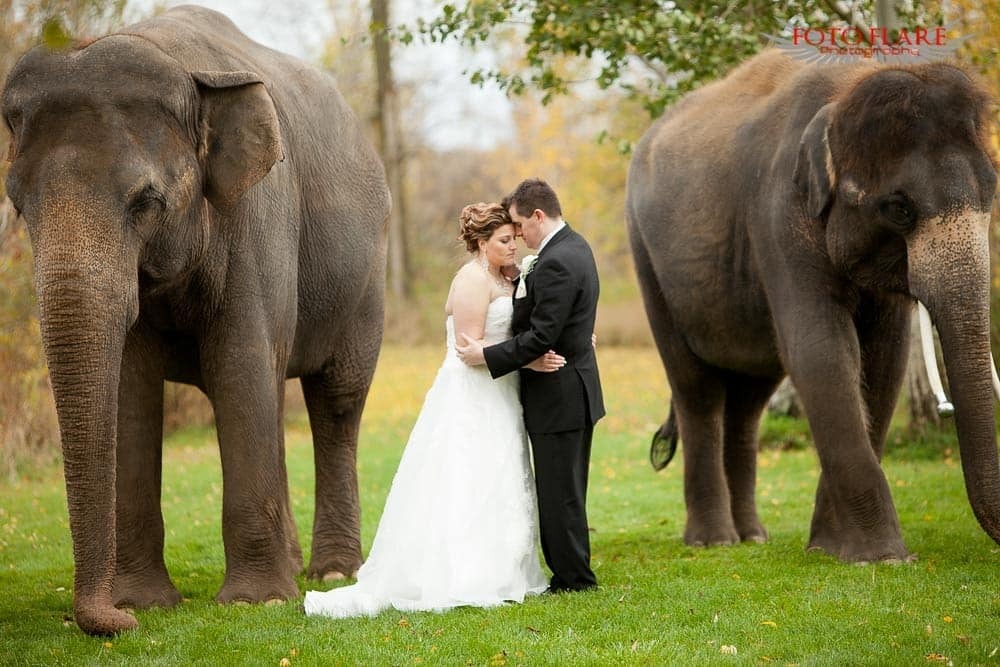 Foto Flare Photography