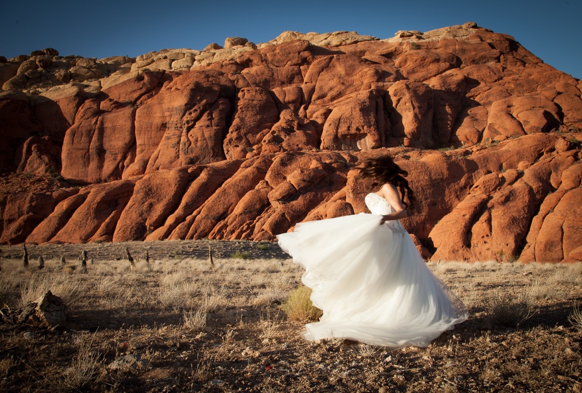 Dawn Stenzel Photography