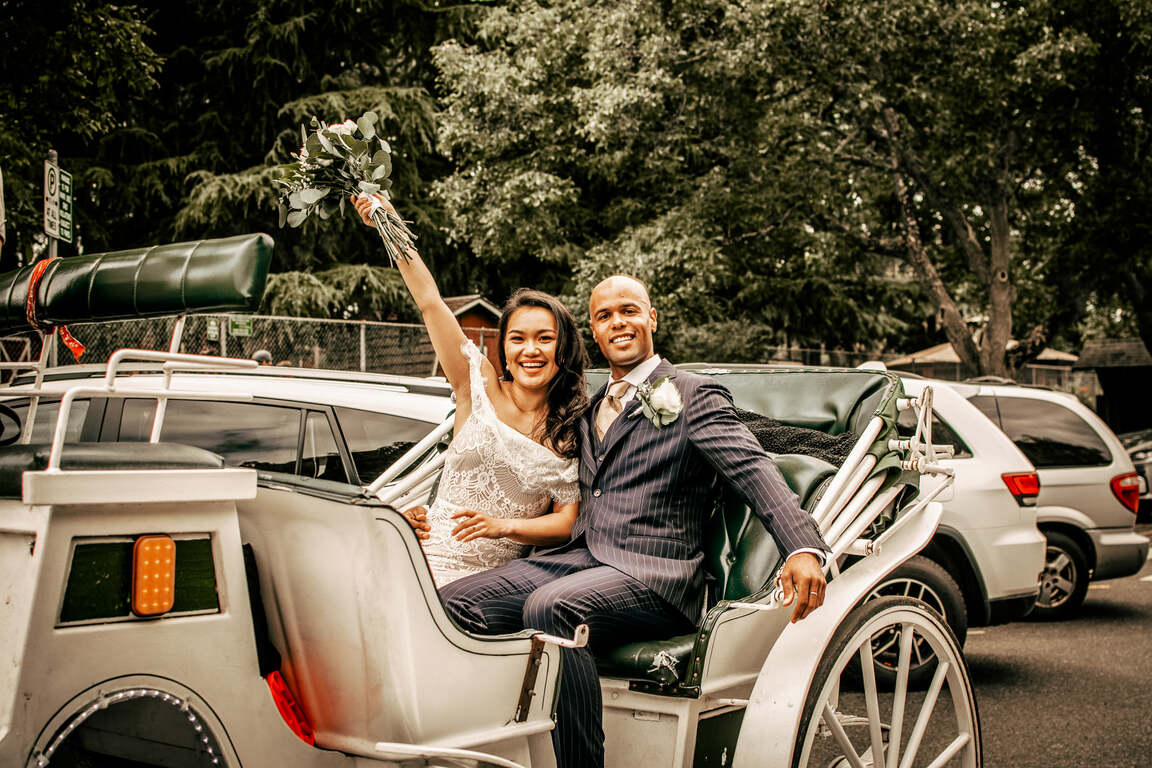 Sophie McIntosh Photography