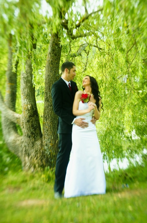 Robert Neil Smith Photography