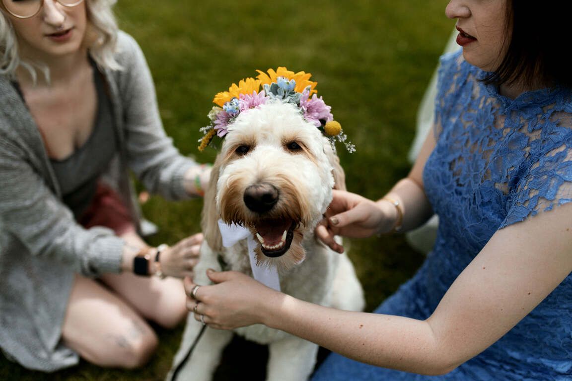 Tailored Fit Photography