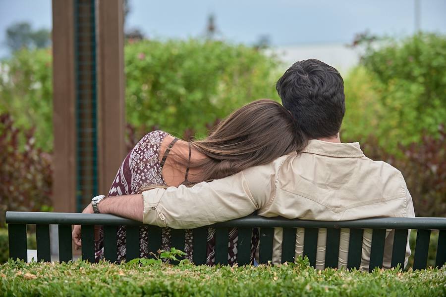 The Image Commission