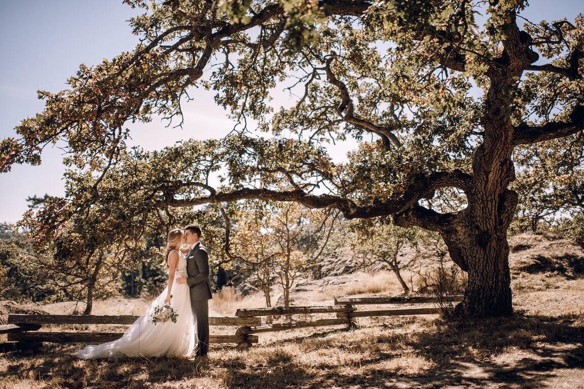 Tulle and Tweed Photography