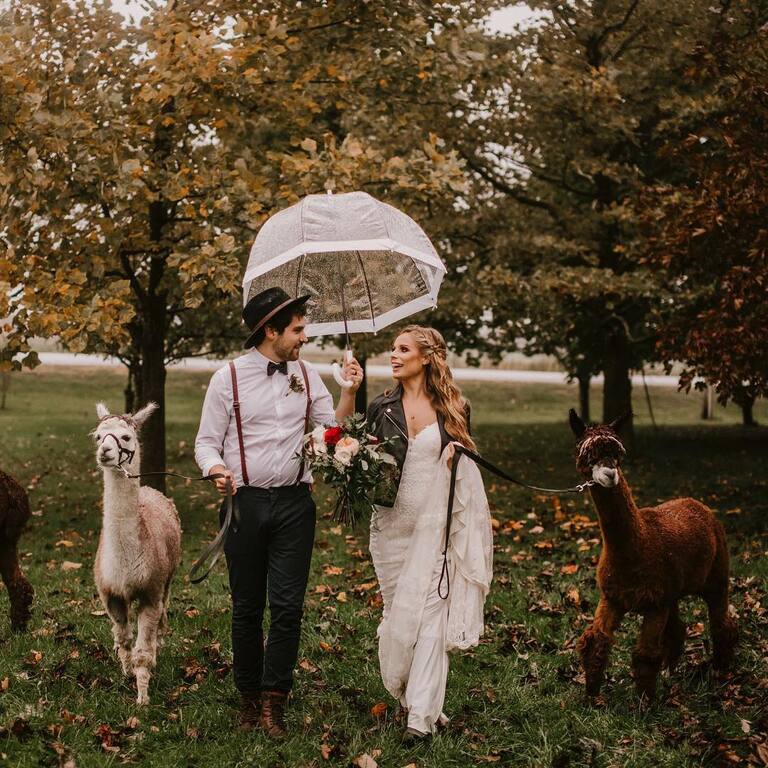 Rachel Hunt Photography