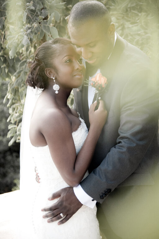 Greg Reynolds Photography