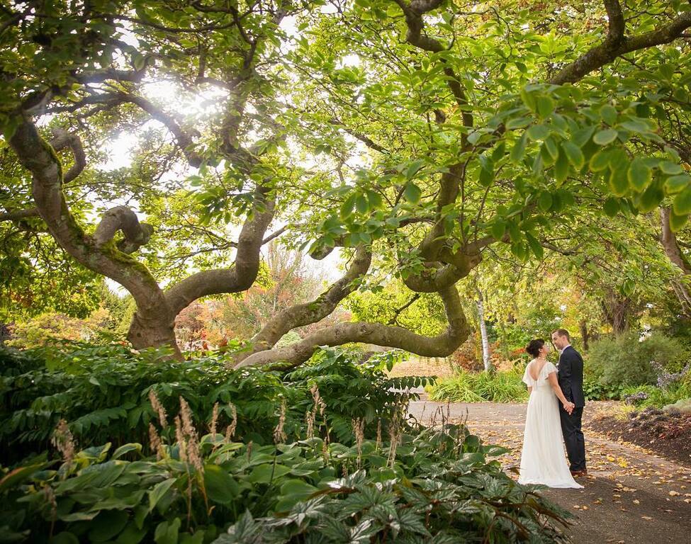 Hyperfocus photography