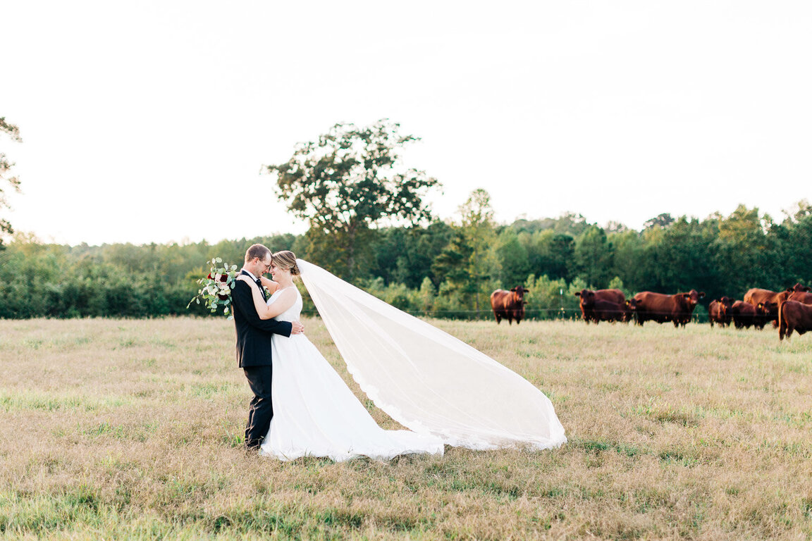 Rachel Bowman Photography