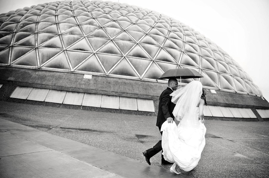 Happily Ever After Images