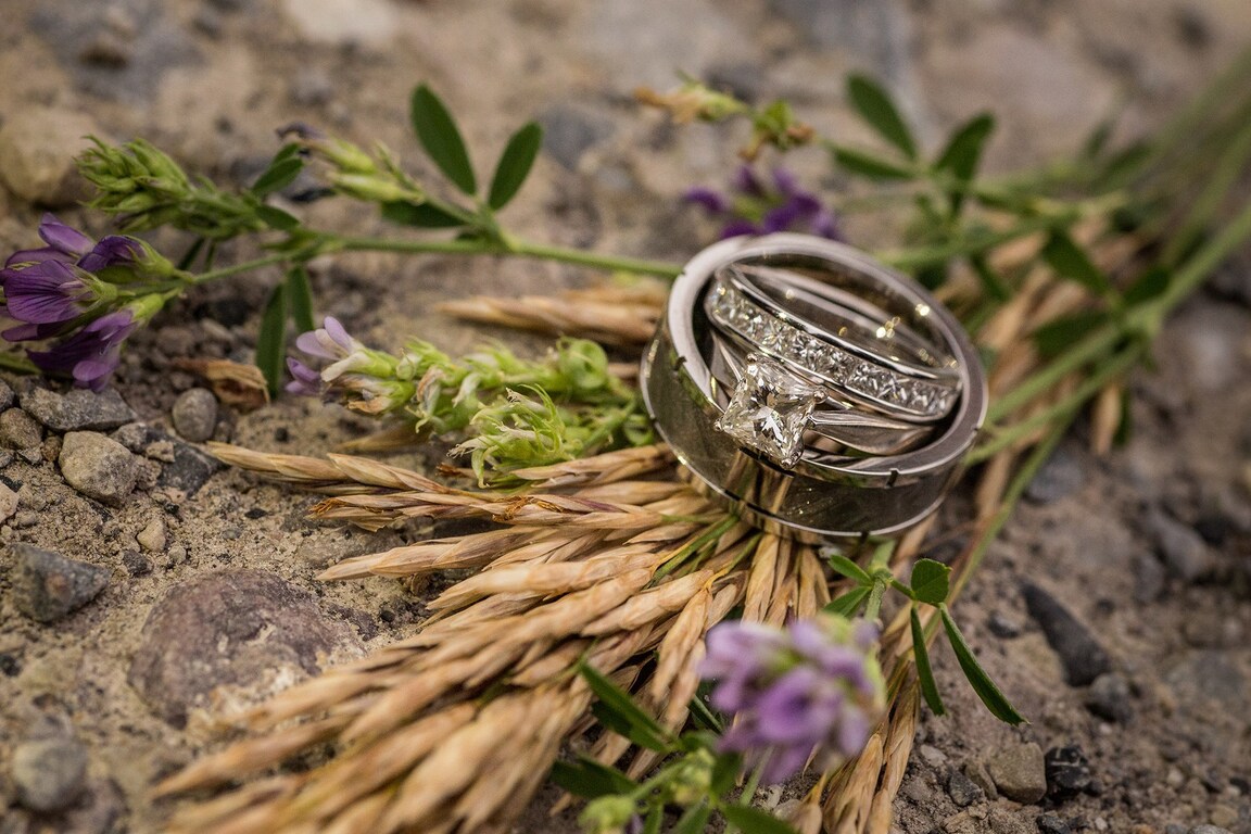 Jenn Beal Photography